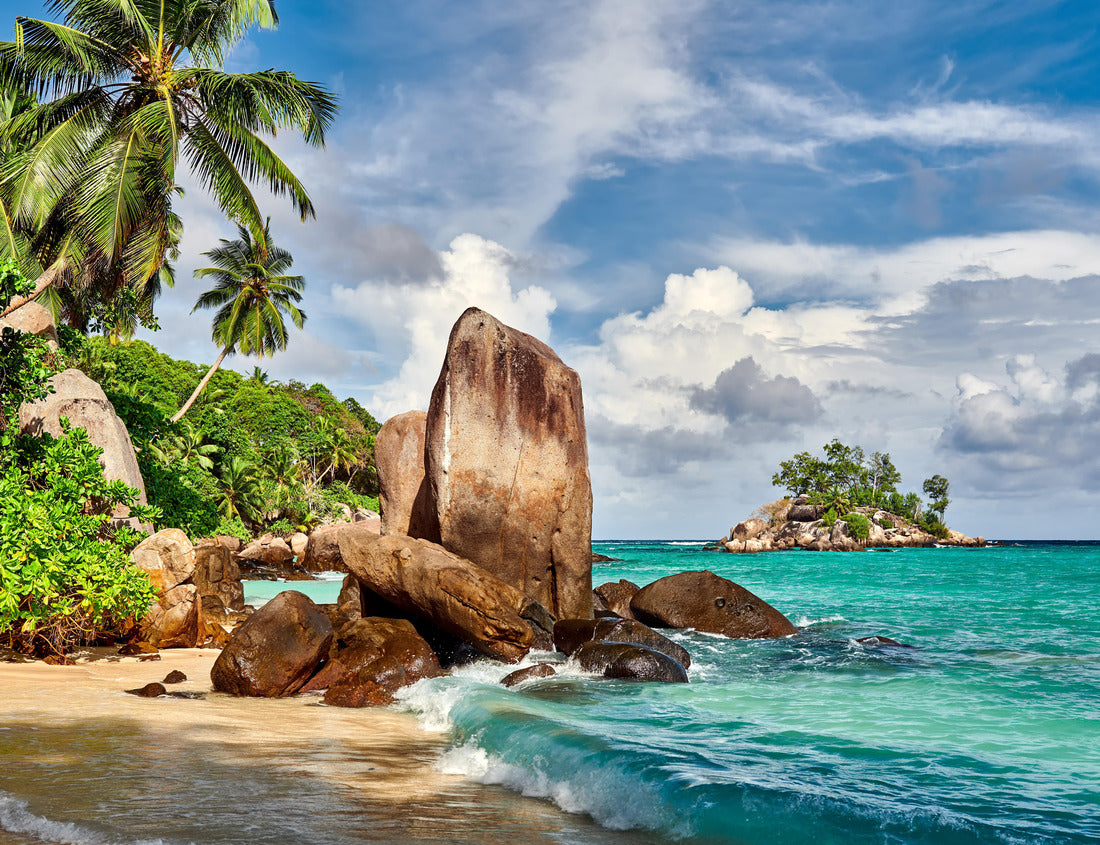 Noah Jigsaw Puzzle Beautiful beach with palm tree and rocks landscape at Seychelles, Mahe 1000 pieces