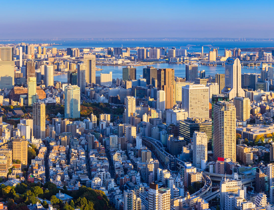 Noah Jigsaw Puzzle Japan. Panorama of Tokyo from afar 1000 pieces