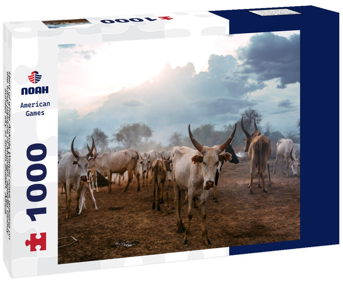 Noah Jigsaw Puzzle Herd of white Ankole Watusi cows grazing on the tribal pasture of Mundari, against cloudy sunset sky in South Sudan, Africa 1000 pieces