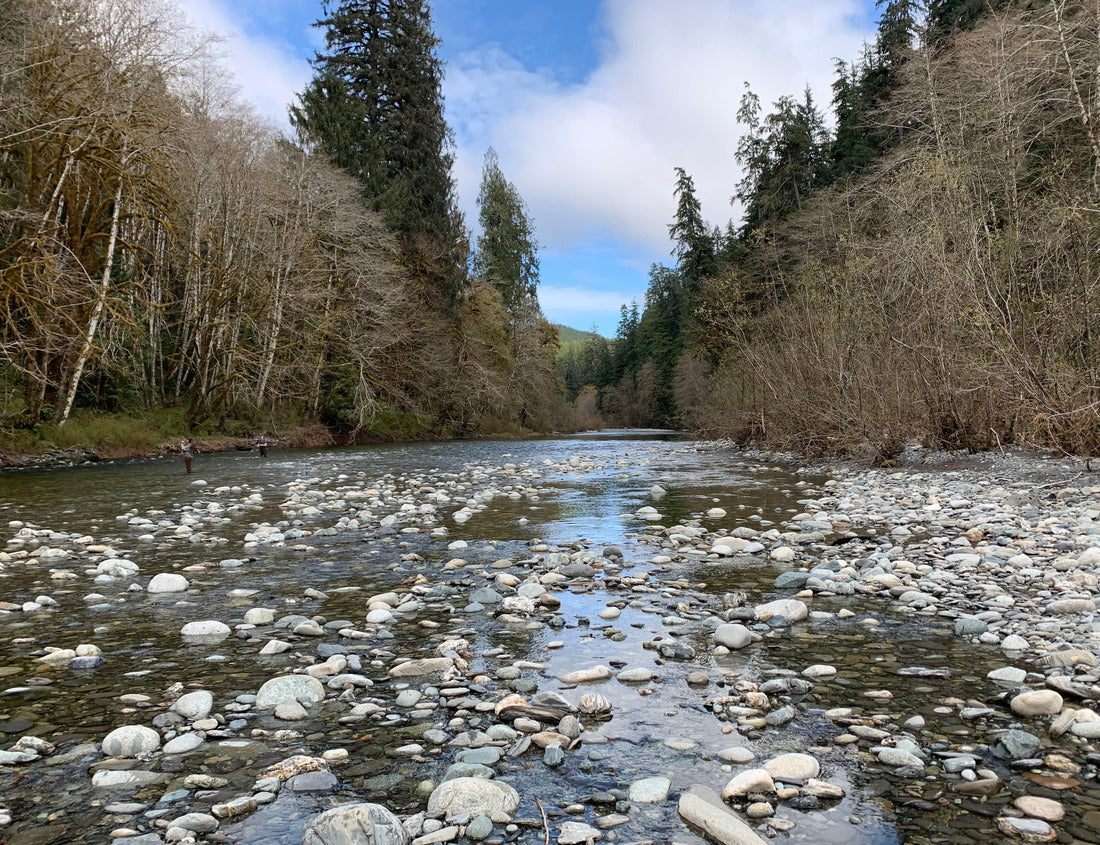 Noah Jigsaw Puzzle Beautiful landscape in British Columbia 1000 pieces