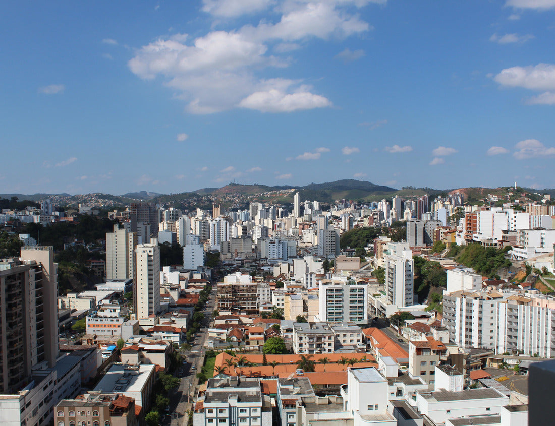Noah Jigsaw Puzzle Brazil, Minas Gerais, Juiz de Fora  1000 pieces