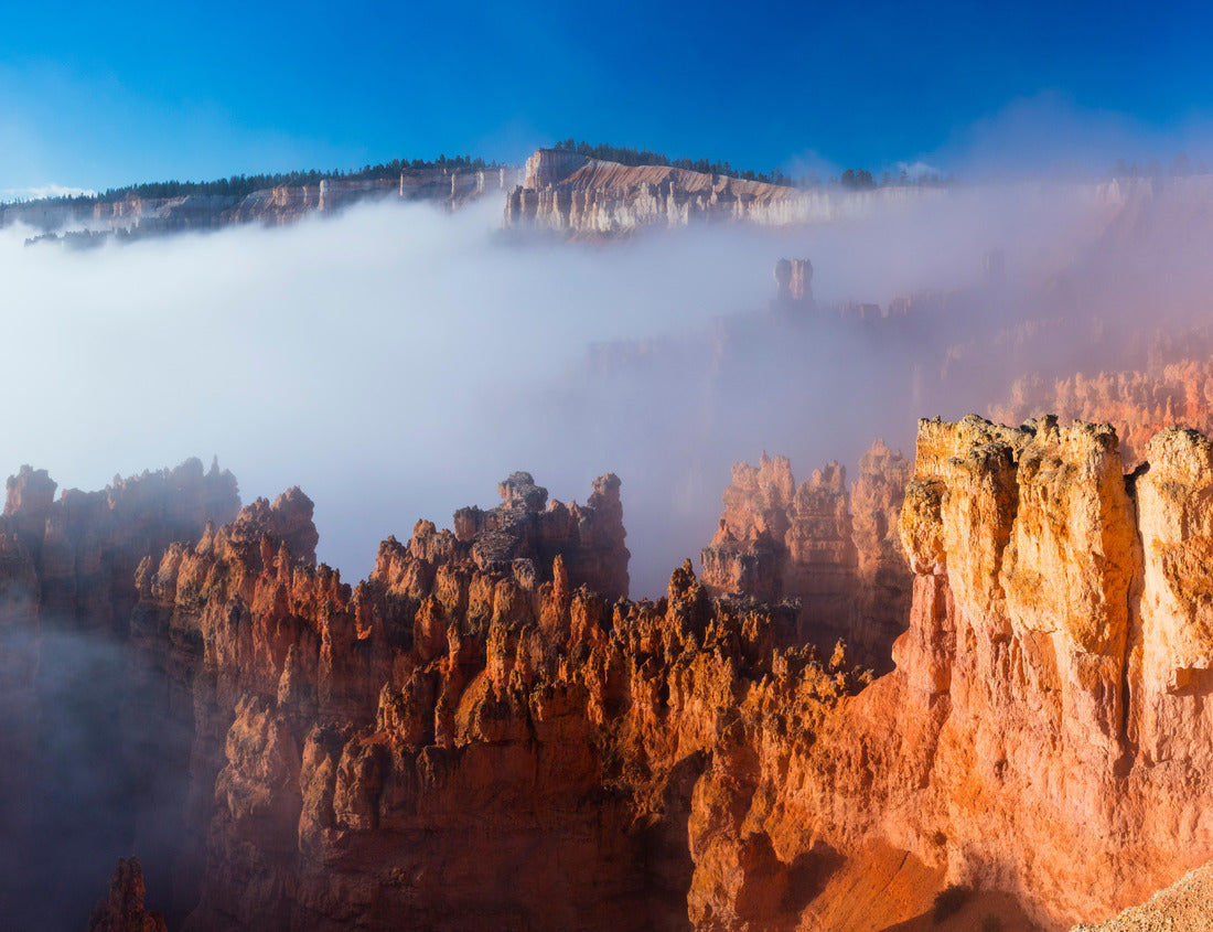 Noah Jigsaw Puzzle Fog in Bryce Canyon National Park, Utah, USA, America 1000 pieces