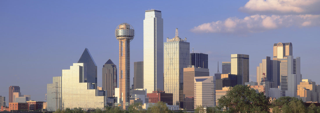 Noah Jigsaw Puzzle Dallas, Sunset, Texas panorama 1000 pieces