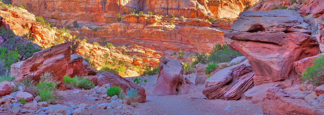 Noah Jigsaw Puzzle Grand Wash Trail in Capitol Reef National Park panorama 1000 pieces