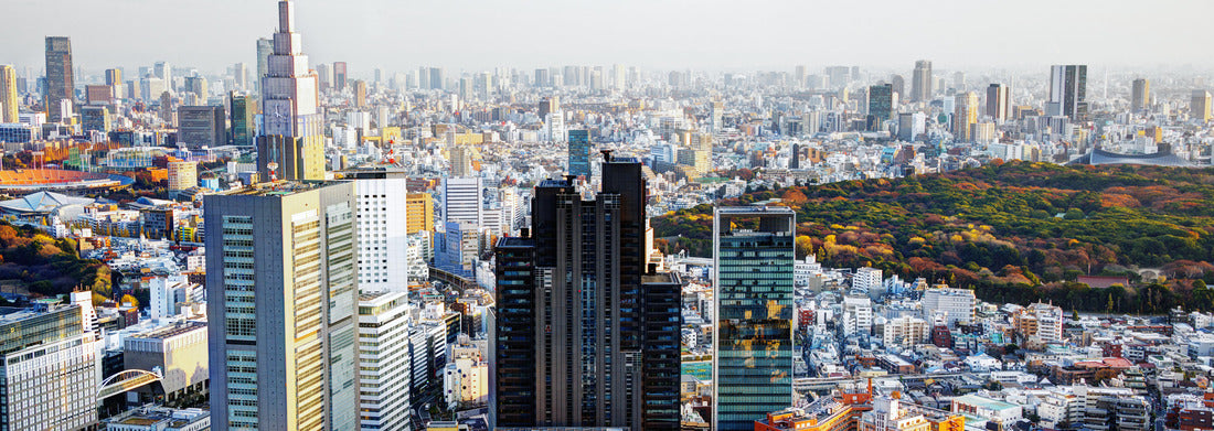 Noah Jigsaw Puzzle Afternoon cityscape of Shinjuku, Tokyo, Japan panorama 1000 pieces