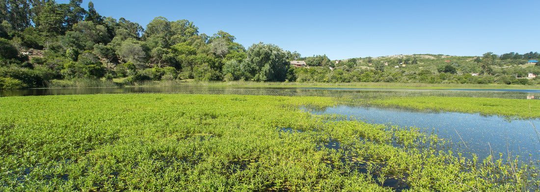 Noah Jigsaw Puzzle Lagoon in Villa Serena, Uruguay panorama 1000 pieces