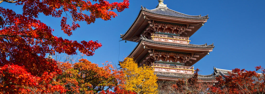 Noah Jigsaw Puzzle Kiyomizu Temple in Kyoto, Japan panorama 1000 pieces