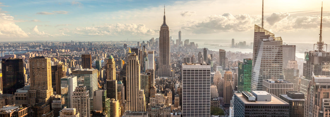 Noah Jigsaw Puzzle New York City skyline panorama 1000 pieces