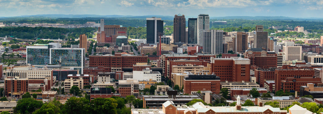 Noah Jigsaw Puzzle Birmingham, Alabama, from Vulcan Park panorama 1000 pieces