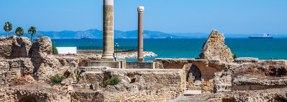 Noah Jigsaw Puzzle Ancient ruins at Carthage, Tunisia with the Mediterranean Sea in the background panorama 1000 pieces