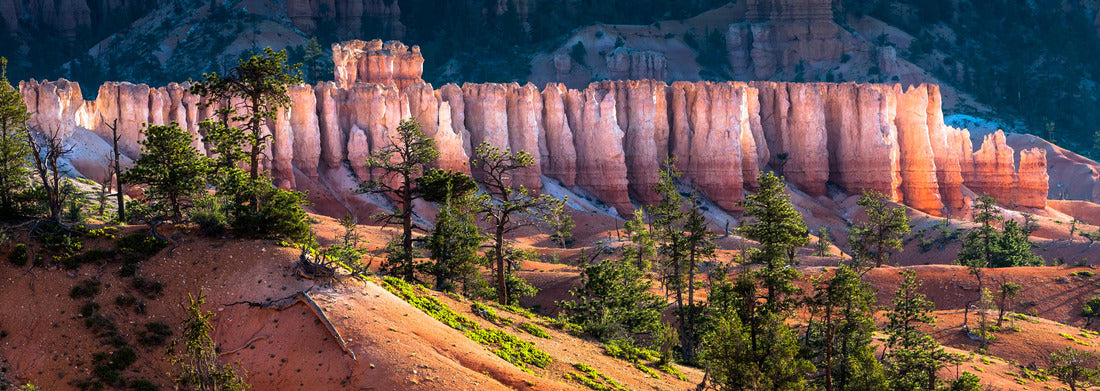 Noah Jigsaw Puzzle Bryce Canyon panorama 1000 pieces