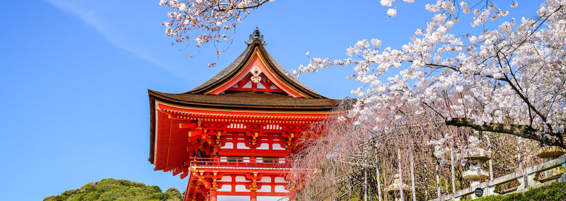 Noah Jigsaw Puzzle Kyoto, Japan at Kiyomizu-dera Temple in the spring panorama 1000 pieces