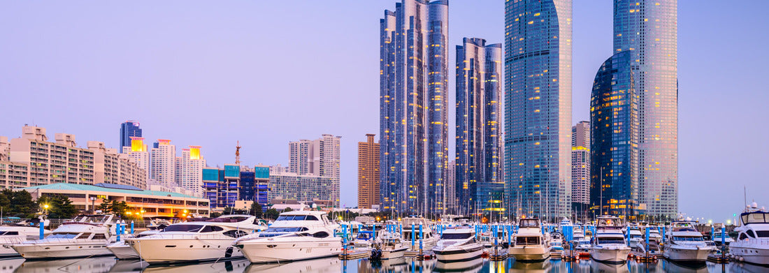 Noah Jigsaw Puzzle Busan, South Korea city skyline in the Haeundae district panorama 1000 pieces