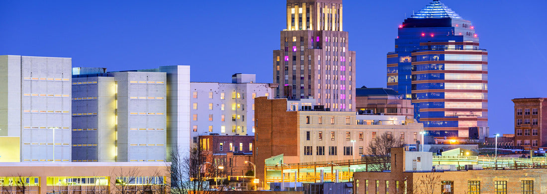Noah Jigsaw Puzzle Durham, North Carolina, USA downtown city skyline panorama 1000 pieces