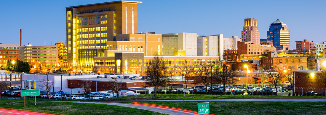 Noah Jigsaw Puzzle Durham, North Carolina, USA downtown city skyline panorama 1000 pieces