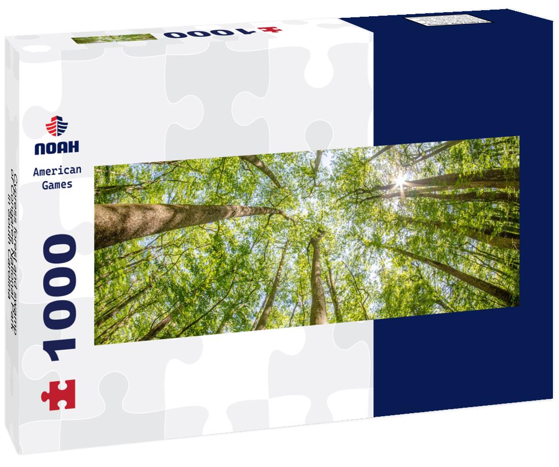 Noah Jigsaw Puzzle Cypress forest and swamp of Congaree National Park in South Carolina panorama 1000 pieces