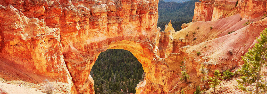 Noah Jigsaw Puzzle Natural bridge rock formation in Bryce Canyon National Park, Utah, USA panorama 1000 pieces