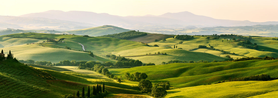 Noah Jigsaw Puzzle Beautiful and gorgeous colors of the green spring landscape of Tuscany, Italy panorama 1000 pieces
