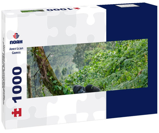 Noah Jigsaw Puzzle Dominant male mountain gorilla in grass. Uganda. Bwindi Impenetrable Forest National Park panorama 1000 pieces