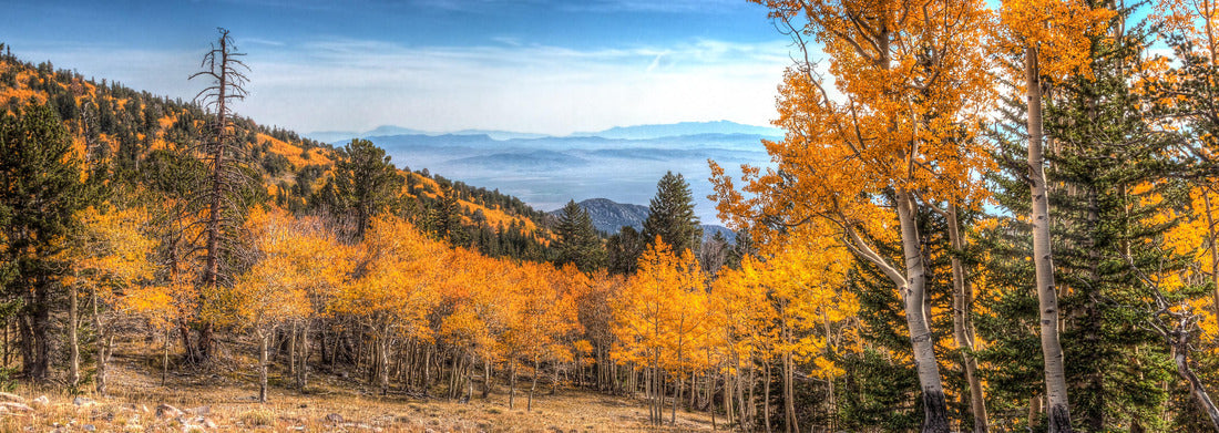 Noah Jigsaw Puzzle Nevada-Great Basin National Park-Wheeler Peak Trail panorama 1000 pieces