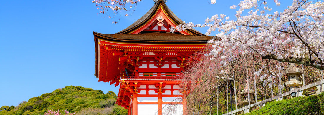 Noah Jigsaw Puzzle Kyoto, Japan at Kiyomizu-dera Temple in the spring panorama 1000 pieces