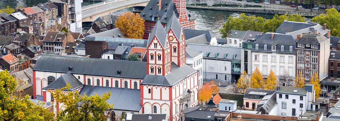 Noah Jigsaw Puzzle Aerial view of the city of Liège in the Walloon region of Belgium with the Church of St. Bartholomew and the Curtius Museum panorama 1000 pieces