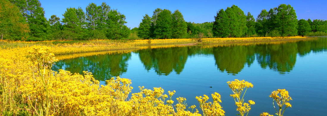 Noah Jigsaw Puzzle Carlyle Lake Eldon Hazlet State Park Illinois panorama 1000 pieces