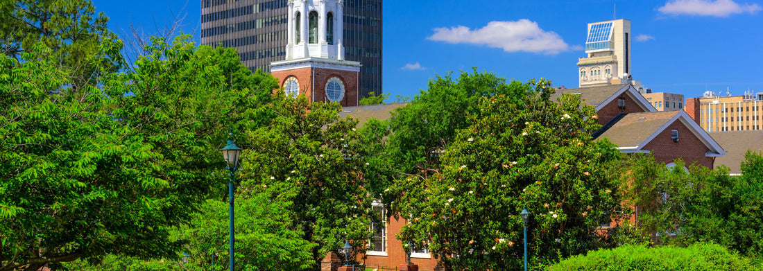 Noah Jigsaw Puzzle Augusta, Georgia, USA downtown scene on the river walk panorama 1000 pieces