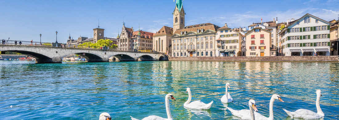 Noah Jigsaw Puzzle Beautiful view of the historic city center of Zurich with the famous Fraumunster church and swans on the Limmat river on a sunny day with blue sky, Canton of Zurich, Switzerland panorama 1000 pieces