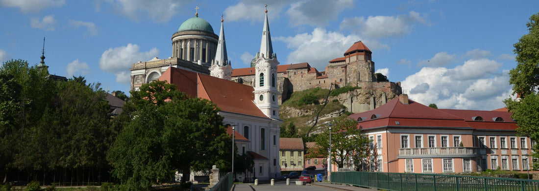 Noah Jigsaw Puzzle Cathedral, baroque church and castle palace in Esztergom Panorama 1000 Pieces