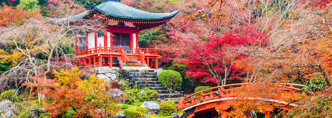 Noah Jigsaw Puzzle Kyoto, Japan at the Daigoji Temple in fall Panorama 1000 Pieces