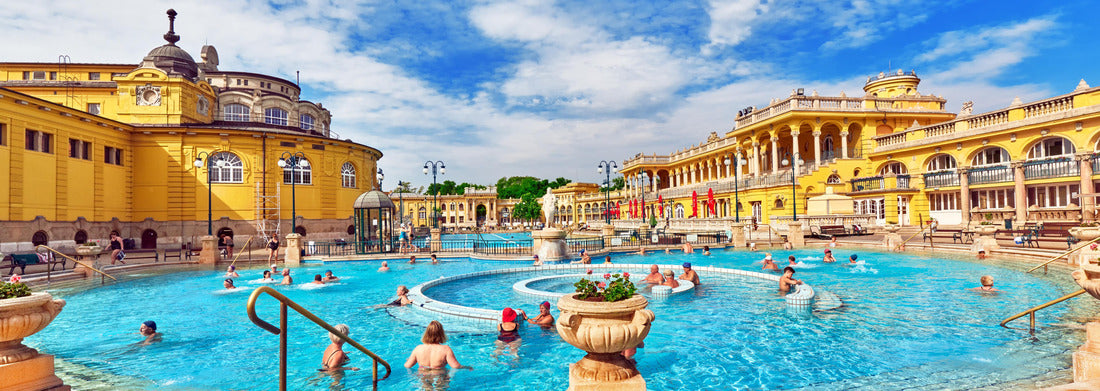 Noah Jigsaw Puzzle Budapest, Hungary: Inner courtyard of the Szechenyi Baths Panorama 1000 Pieces