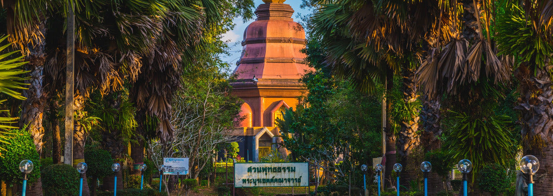 Noah Jigsaw Puzzle A stupa of Wat Phai Lom (a Buddhist temple in the city of Trat, Thailand), gilded in the sunset. The avenue of palm trees leads to the temple Panorama 1000 Pieces