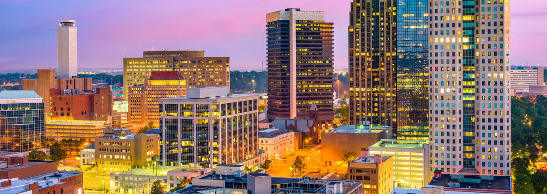 Noah Jigsaw Puzzle Birmingham, Alabama Skyscape Panorama 1000 Pieces