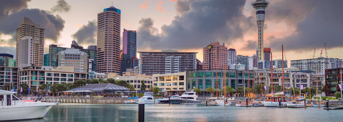 Noah Jigsaw Puzzle Auckland. Cityscape of Auckland skyline, New Zealand at sunrise Panorama 1000 Pieces
