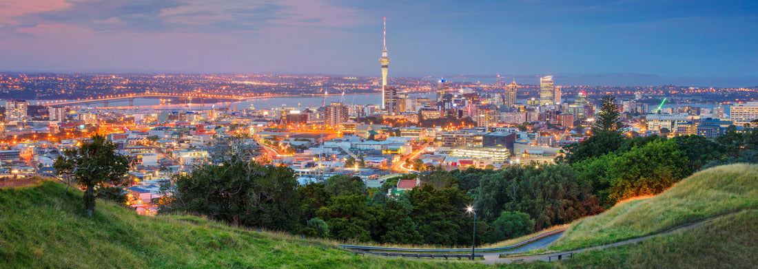 Noah Jigsaw Puzzle Auckland. Cityscape of Auckland Skyline, New Zealand taken from Mt. Eden at sunset Panorama 1000 Pieces