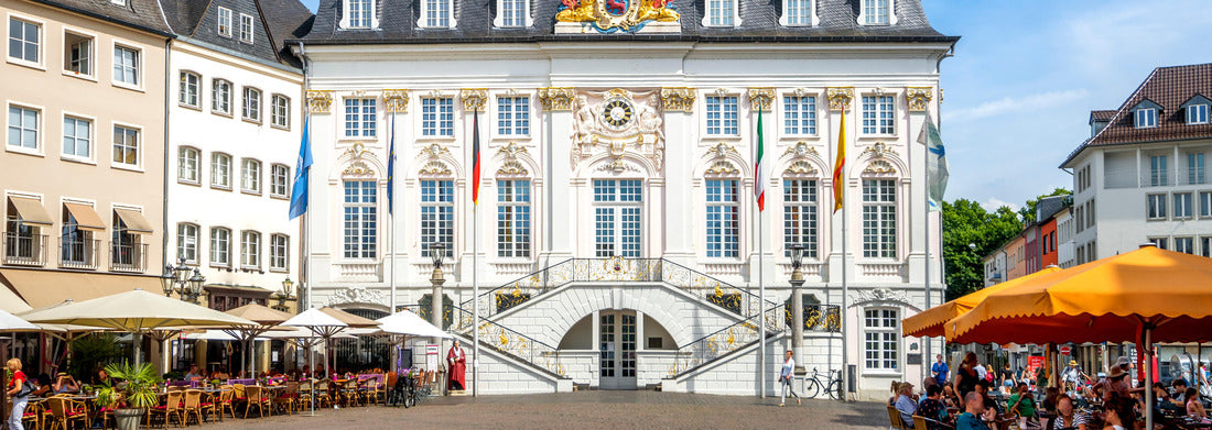 Noah Jigsaw Puzzle Bonn, Old Town Hall Panorama 1000 Pieces
