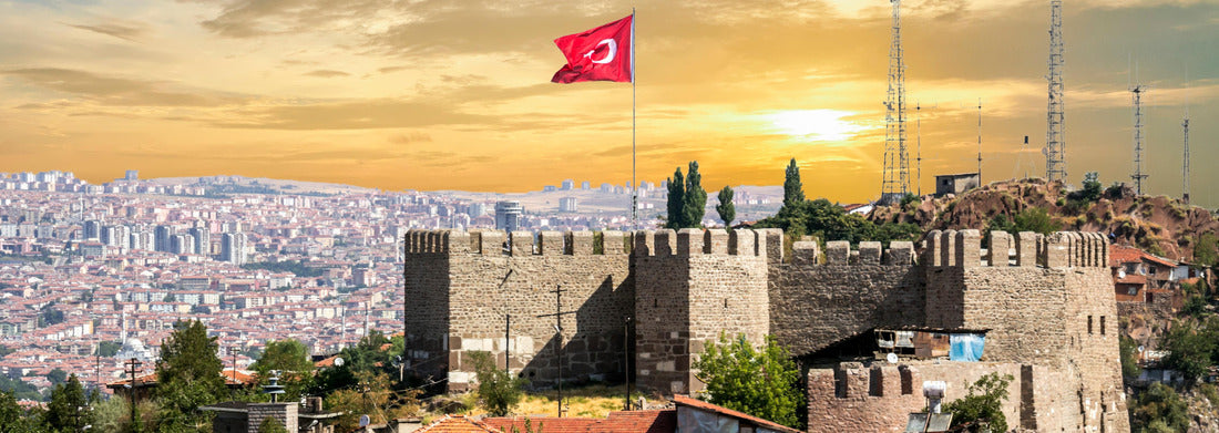 Noah Jigsaw Puzzle Costa Rica sloth hanging tree three-toed sloth Panorama 1000 Pieces