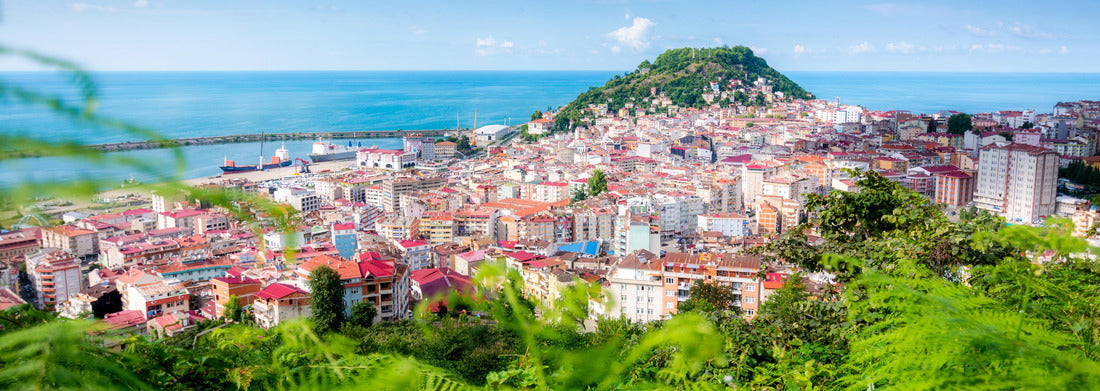 Noah Jigsaw Puzzle Denver, Colorado, USA in the city center Panorama 1000 Pieces