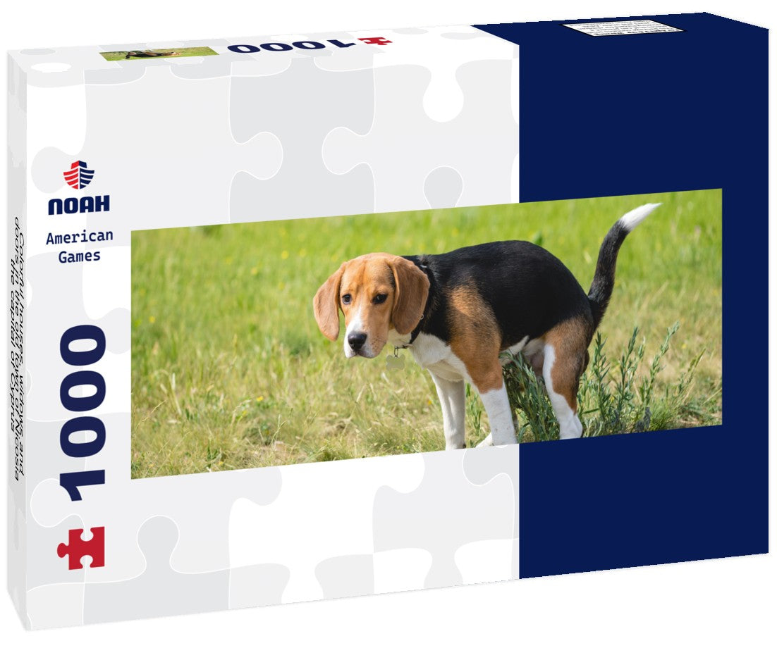 Noah Jigsaw Puzzle Colorful houses, widows and doors in the old town of Nicosia, the capital of Cyprus Panorama 1000 Pieces