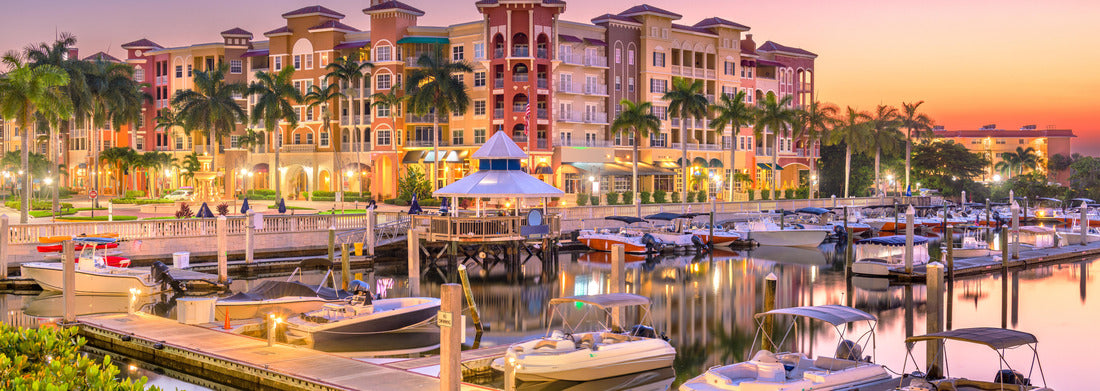 Noah Jigsaw Puzzle A long straight road towards the snowy mountains in New Zealand Panorama 1000 Pieces