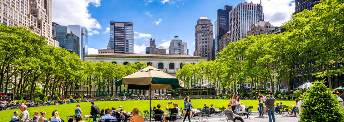 Noah Jigsaw Puzzle New Zealand branched river Panorama 1000 Pieces