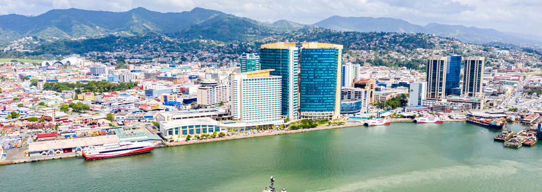 Noah Jigsaw Puzzle Container ship passing through the Panama Canal in a picturesque landscape Panorama 1000 Pieces