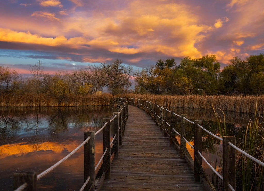 Rocky Mountain Arsenal National Wildlife Refuge