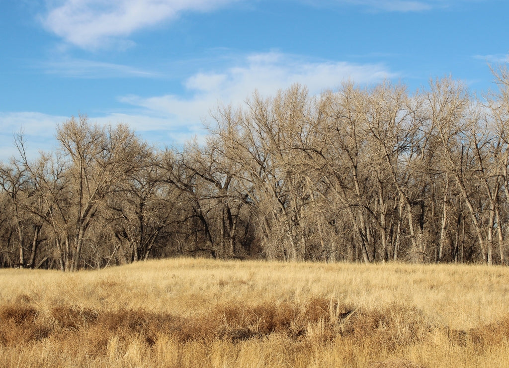Rocky Mountain Arsenal National Wildlife Refuge