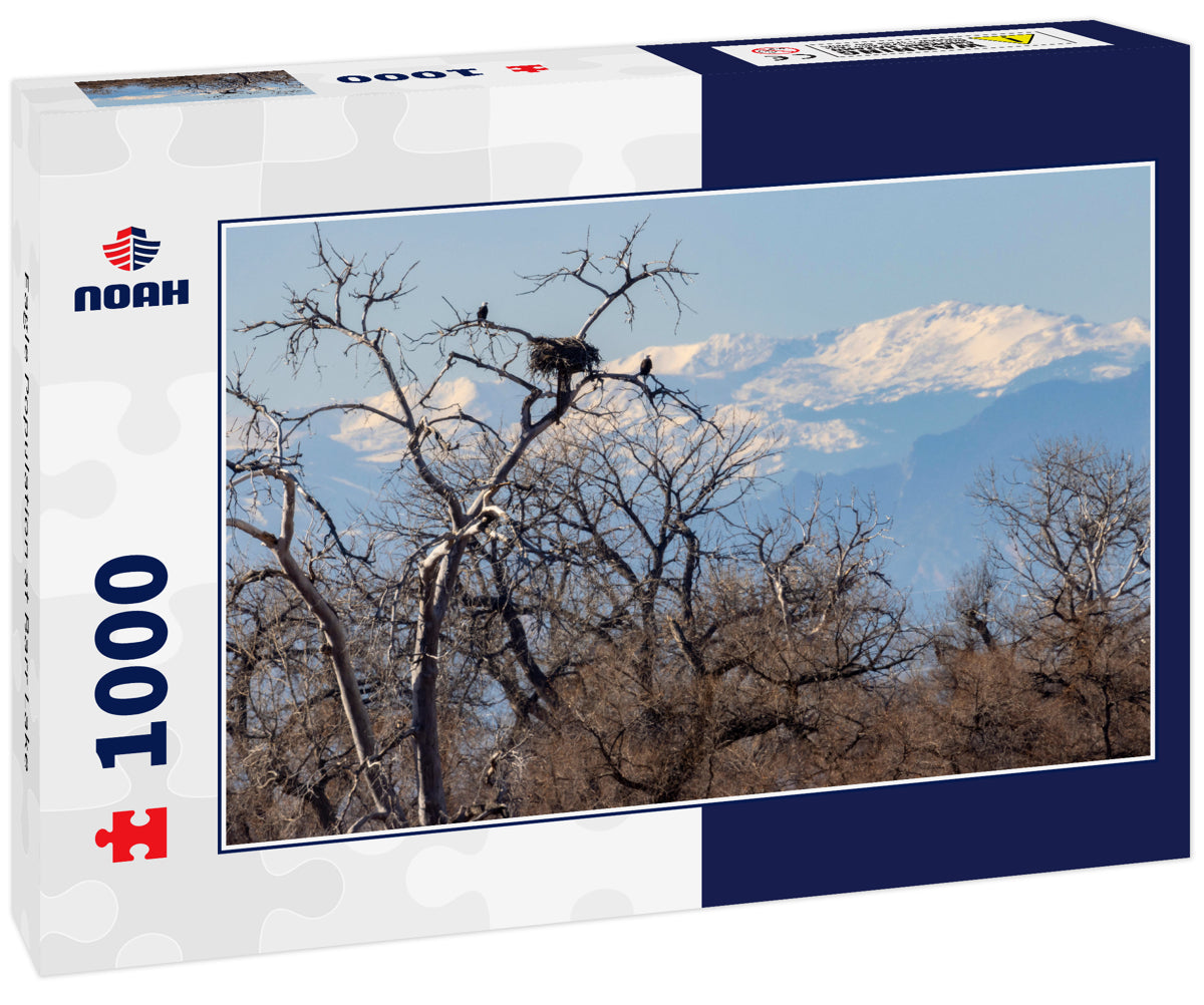 Eagle Population at Barr Lake