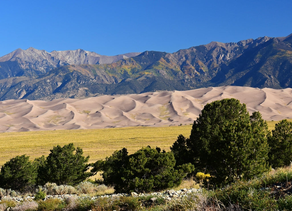 Sand dunes and mountain peaks on a sunny day in great sand dunes national park, near alamosa, colorado