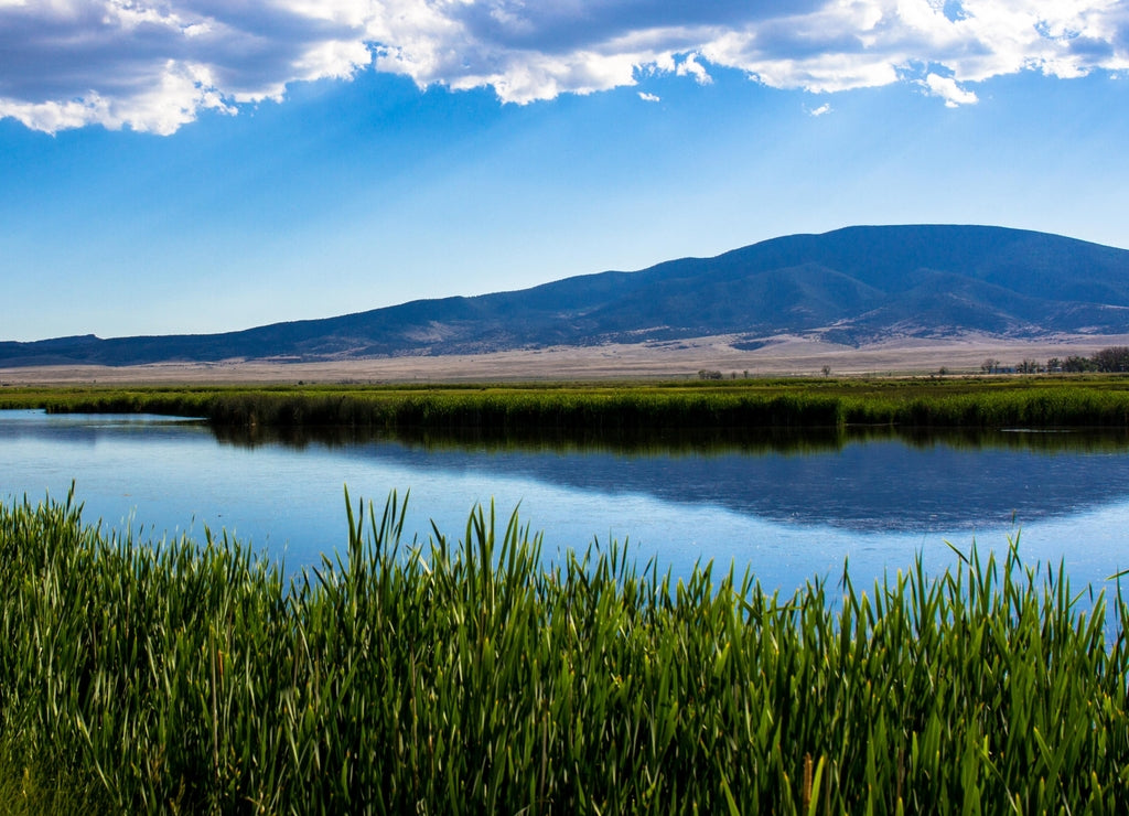 View of the great marsh at Monte Vista National Wildlife Refuge in southern Colorado, with the San Juan Mountains reflected in the water