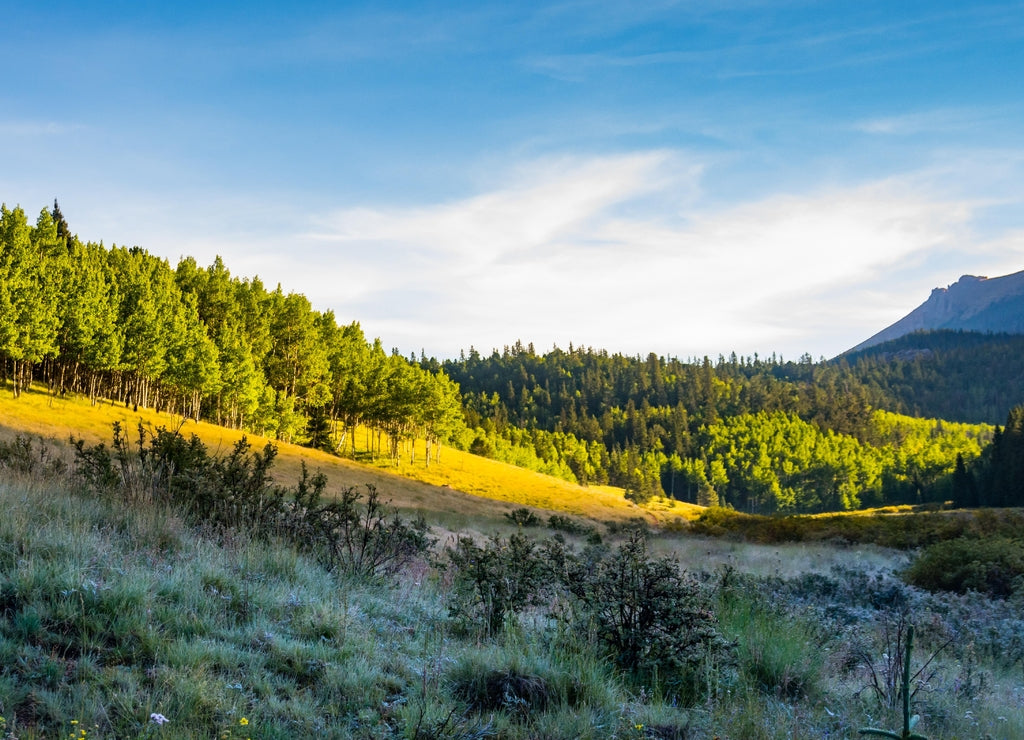 Sunrise and shadow at Pike national forest Colorado