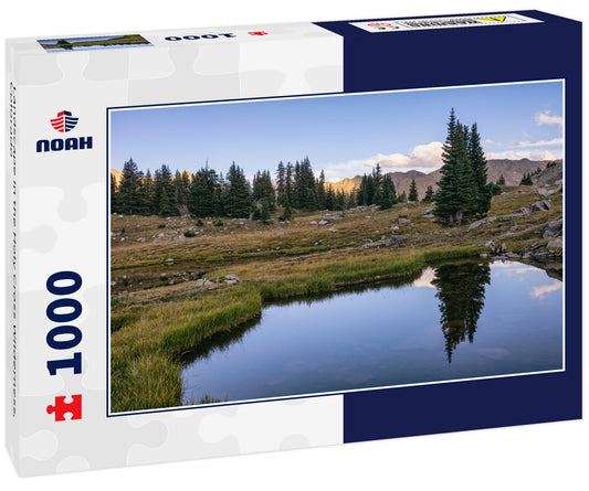 Landscape in the Holy Cross Wilderness, Colorado